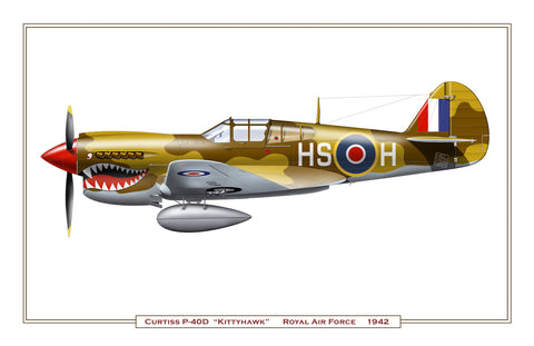 Curtiss P-40D “Kittyhawk”